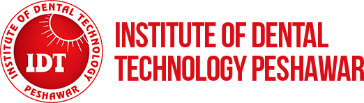 IDT Logo